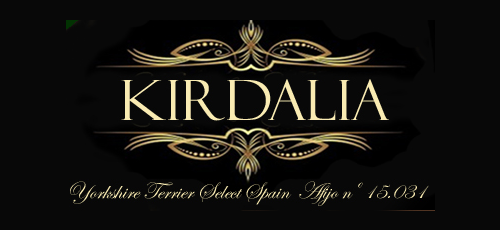 Logo de Kirdalia