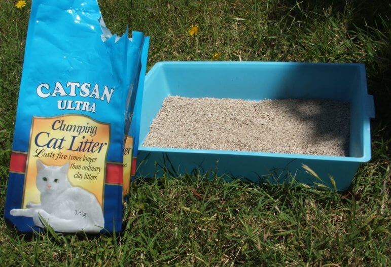 Litter_box