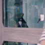 Animales video