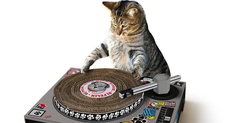 rascador gato 2