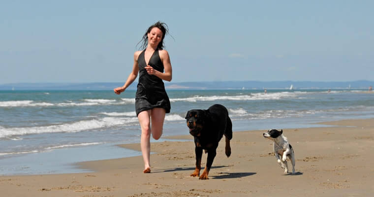mujer corriendo con sus perros junto a la playa de arenas blancas