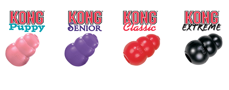 tipos kongs