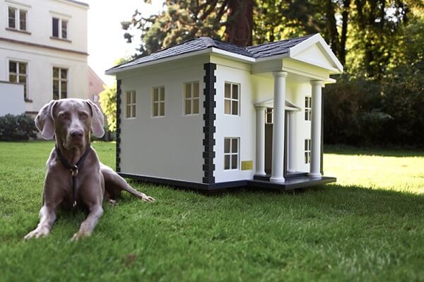 Casas de madera para perros