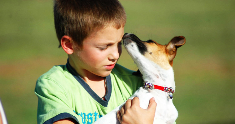 perro y niño