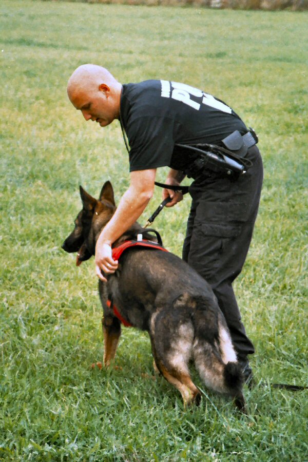 Razas de perro policía
