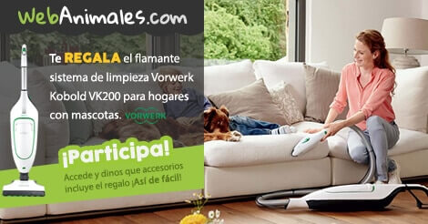 Sorteo Vorwerk Kobold VK200 | webanimales.com