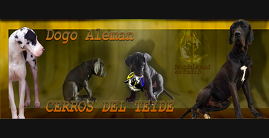 Logo de Cerros del Teide