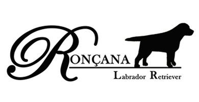 Logo de Ronana