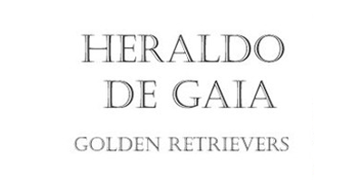 Logo de Heraldo de Gaia