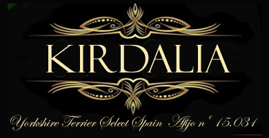 Logo de Kirdalia