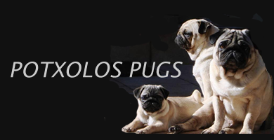 Logo de Potxolos Pugs