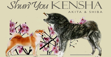Logo de Shunyou kensha