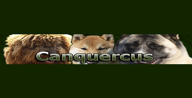 Logo de Canquercus