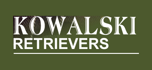 Logo de kowalski
