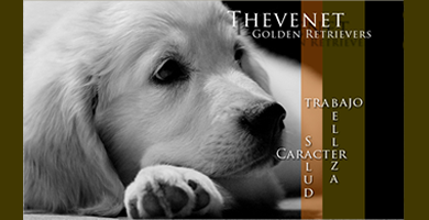Logo de Thevenet