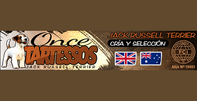 Logo de Once Tartessos