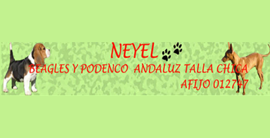 Logo de Neyel