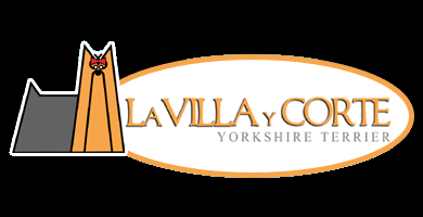 Logo de La Villa y Corte