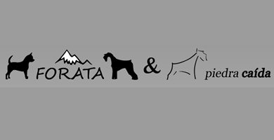 Logo de Forata & Piedra Cada