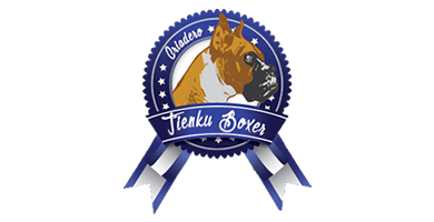 Logo de T�IENKU BOXER