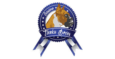 Logo de TIENKU BOXER