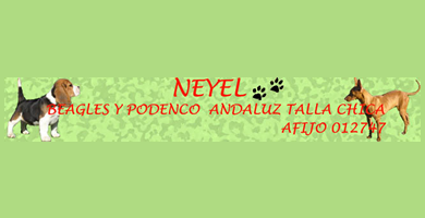 Logo de Neyel