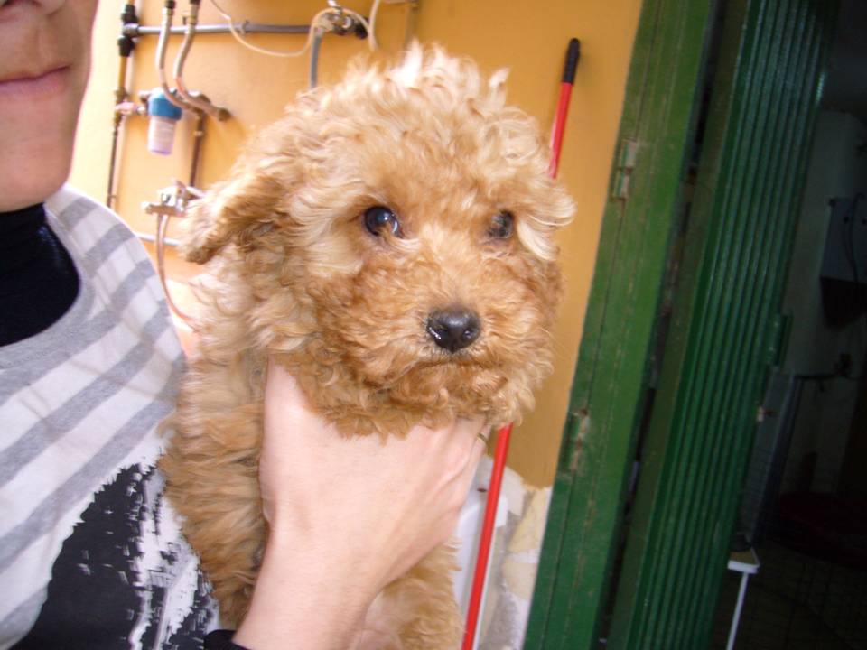 Primera imagen de Vicembeiker