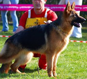 Primera imagen de Lu-Michelfer