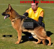 Imagen de Lu-Michelfer