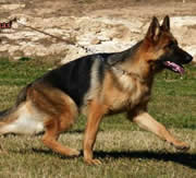 Imagen de Lu-Michelfer