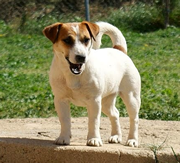 Imagen de Vila DesCans