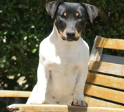 Imagen de Vila DesCans