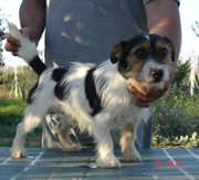 Primera imagen de Torre la Sabina