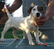 Imagen de Torre la Sabina