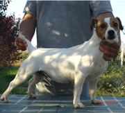 Imagen de Torre la Sabina