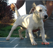 Imagen Torre la Sabina