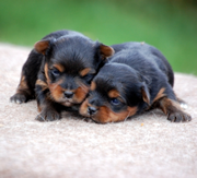 Primera imagen de CastillViejo