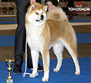Imagen de Ka Yo�yoi Tomodachi