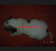 Imagen de Del Cam� Ral