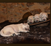 Primera imagen de Thevenet