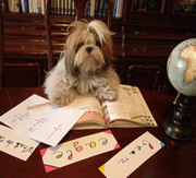 Imagen del criaddor El Solar de Tara