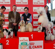 Imagen de El Solar de Tara