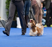 Primera imagen de El Solar de Tara