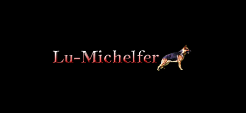 Logo de Lu-Michelfer