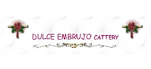 Logo de Dulce Embrujo