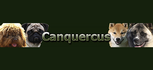 Logo de Canquercus