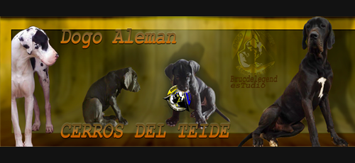 Logo de Cerros del Teide