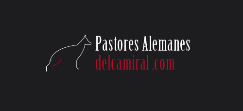 Logo de Del Cami Ral