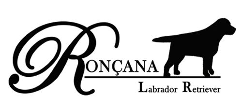 Logo de Ron�ana