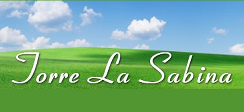 Logo de Torre la Sabina